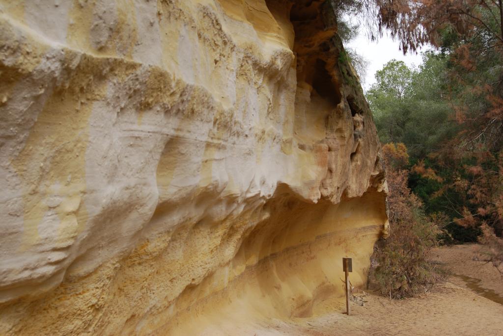 فيلا Casa Punta Prima II Los Altos المظهر الخارجي الصورة