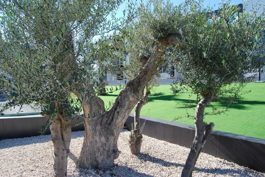 فيلا Casa Punta Prima II Los Altos المظهر الخارجي الصورة